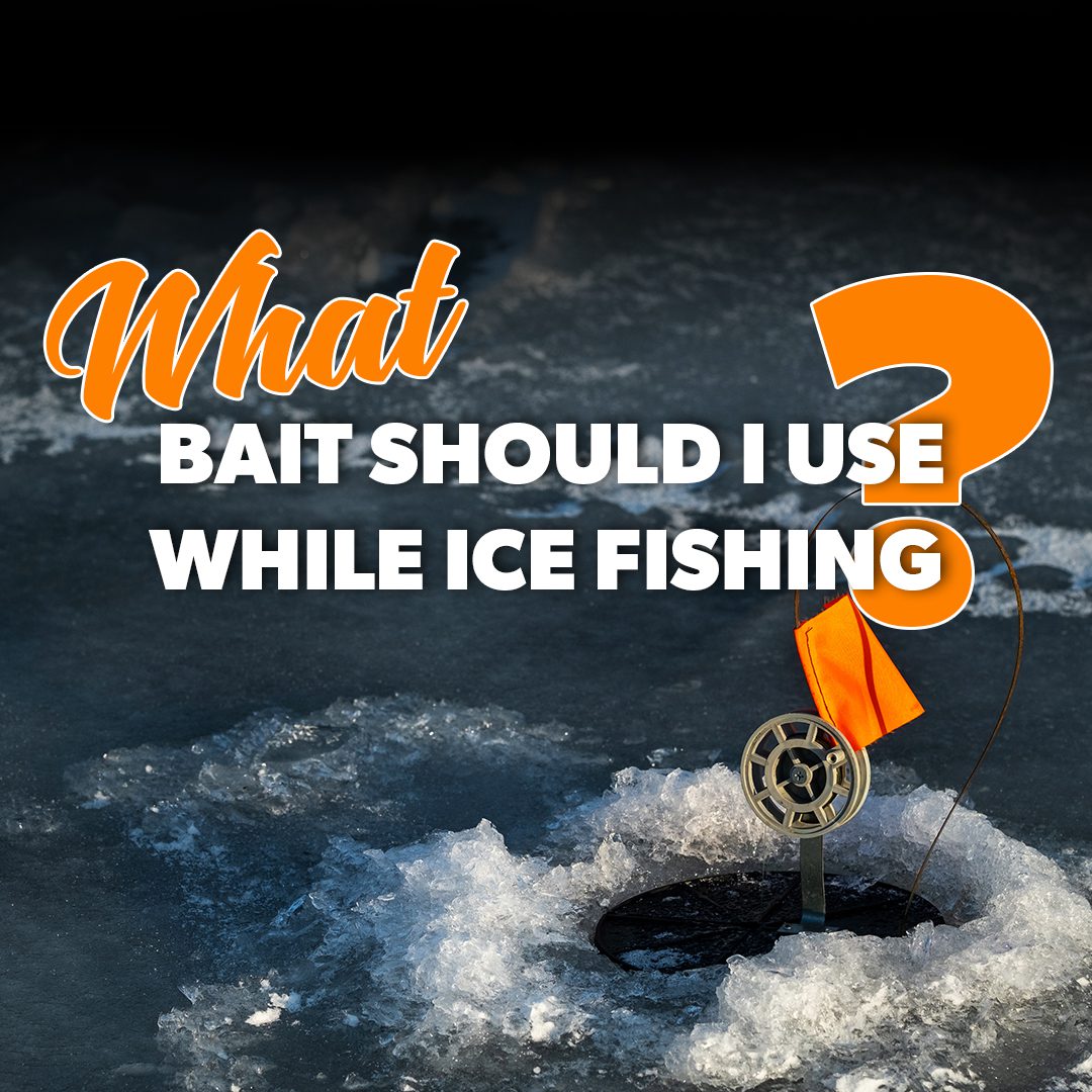 The Best Ice Fishing Bait to Use While Ice Fishing