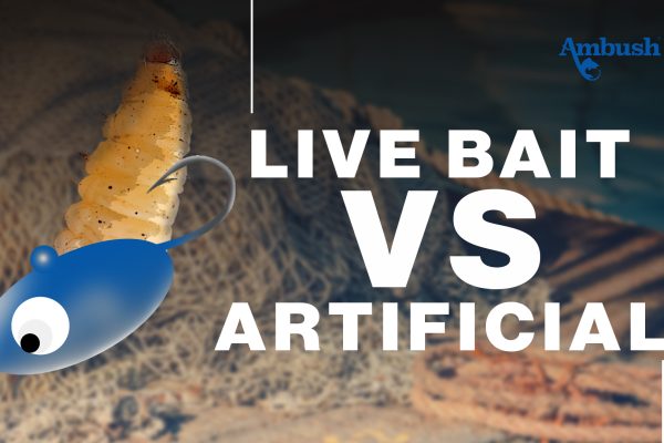 Live Vs Artificial bait